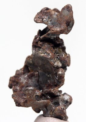 #ad RARE Admire Iron Meteorite Specimen Pallasite Skeleton Olivine Meteor KANSAS $34.99