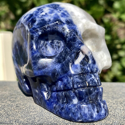 #ad 338G Blue Sodalite Skull Hand Carverd Healing Crystal Natural Quartz Stone $64.00