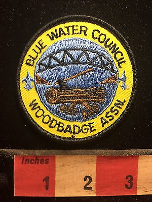 #ad Vtg BLUE WATER COUNCIL Michigan Woodbadge WOOD BADGE ASSOC. Boy Scout Patch 75YG $3.97