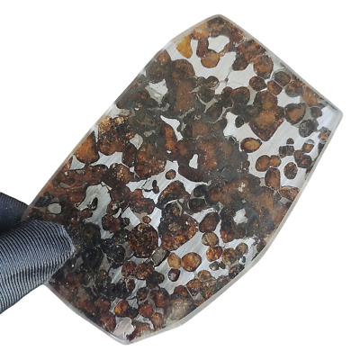#ad 40.4g SERICHO pallasite Meteorite slice from Kenya CA183 $81.61