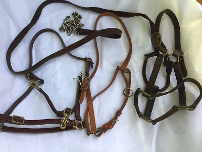 #ad 3 Horse Bridles and 1 Lead Rope $54.99