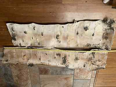 #ad LARGE LOT Premium young Birch bark 2X Extra Large pieces Lot 22 6 $98.66