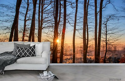 #ad 3D Landscape Woods Golden Sunset Wallpaper Wall Murals Removable Wallpaper 350 AU $39.99