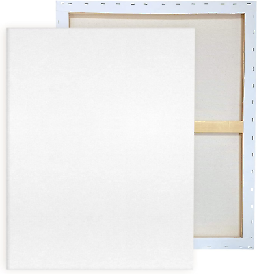#ad Pre Stretched Canvases for Painting 24x36 2 Pack Large Blank Canvas Boards for $49.99