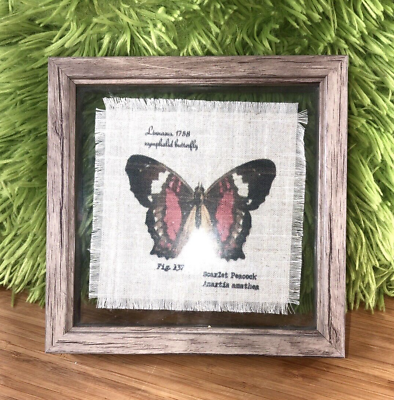 #ad Scarlet Peacock Butterfly Art On Cloth Fig 137 Wood Framed 7X7quot; wall decor $14.99