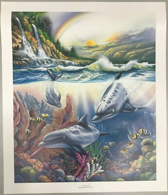 #ad New Framed Dolphin Treasure Underwater Art Poster Print Size 23quot; x 27quot; $49.99