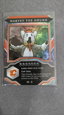 #ad #ad 2021 22 Upper Deck MVP Mascot Gaming Cards #M 5 Harvey The Hound RC $4.00