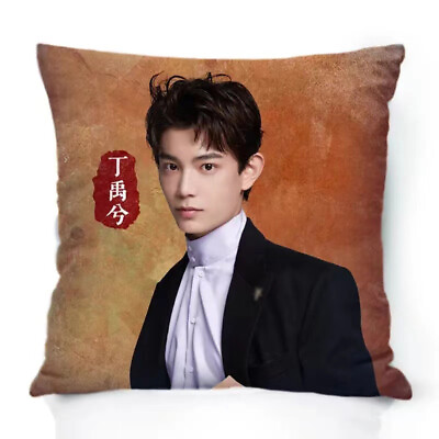 #ad Ding yuxi Cushion Pillow Bedroom 40*40cm Gifts $31.61