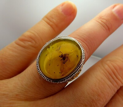 #ad 925 Sterling Silver Mens Ring Fossil Big Spider inclusion Burmite Burmese Amber $104.30
