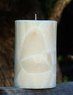 #ad 40hr CARAMEL Sweet Scented CYLINDER PILLAR CANDLE Plant Based Wax amp; Cotton Wicks AU $9.99