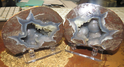 #ad ONE PAIR OPENED UTAH DUGWAY GEODE WITH GORGEOUS BLUE DRUZE CRYSTAL HOLLOW STANDS $53.95