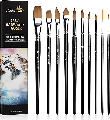 #ad Watercolor Brushes Professional Set 10 Artist Brushes Watercolor Paint Brushes $37.86