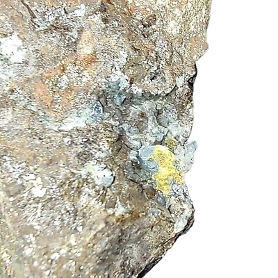 #ad 154g Scordite Blue Crystal Cluster Ojuela Mine Mineral Rare Amazing Quality $133.97