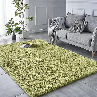 #ad Shaggy Green Rug 2x3 Area Rugs for Living Room Anti Skid 2x3 Feet A green $22.67