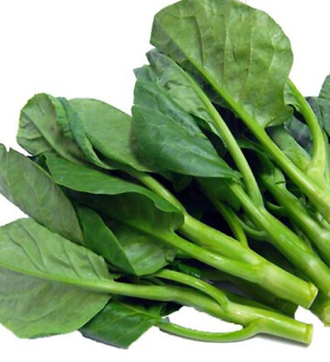 #ad #ad 100 Seeds Chinese Kale Kailaan Chinese Broccoli Gai Lan Choi vegetable USA $1.99