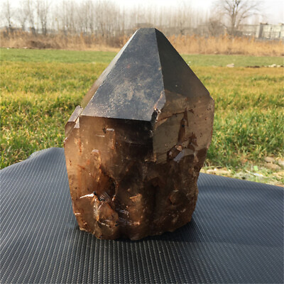 #ad 14.7LB Natural smokey quartz rare backbone quartz crystal specimen c $389.00