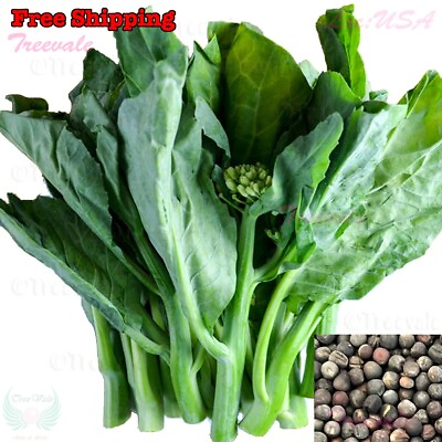 #ad Kai lan Seeds Chinese Broccoli White flowering Broccoli Chinese Kale Seeds $1.54