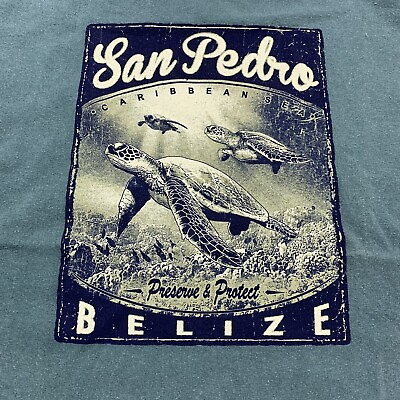 #ad Vintage San Pedro Belize T Shirt Sea Turtle Underwater Art Tee Men’s M $8.00