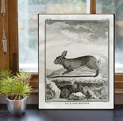 #ad Poster Easter Rabbit Bunny Lapin Buffon Farmhouse Decor Poster Cottage Core $106.00
