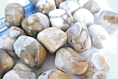 #ad One Spotted Agate Tumbled Stone 20 30mm Reiki Healing Crystal Concentration $1.95