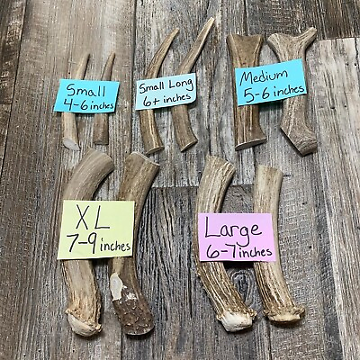 #ad Montana Premium Deer Antler Dog Chews various sizes for all dogs $7.95