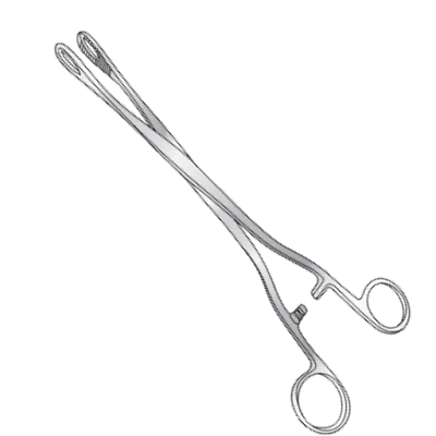 #ad Noto Polypus and Utility Forceps 10quot; Serrated Ring Handles Premium $27.99