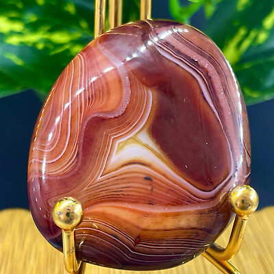 #ad 89G Natural Polished Silk Banded Lace Agate Crystal Madagascar $29.00