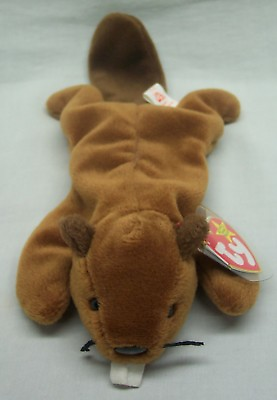 #ad TY Beanie Baby BUCKY THE BEAVER Bean Bag STUFFED ANIMAL Toy 1995 Babies NEW $15.00