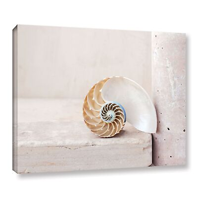 #ad ArtWall Elena Ray #x27;Nautilus#x27; Gallery wrapped Canvas Small $30.49