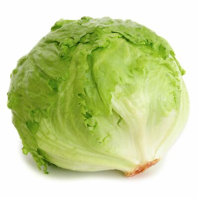 #ad Iceberg Lettuce Seeds Non GMO Free Shipping Seed Store 1104 $1.99