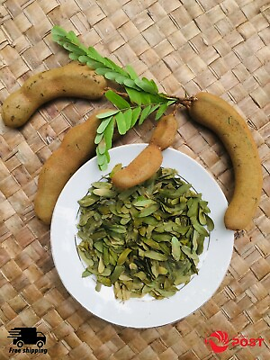 #ad Dried TAMARIND LEAVES Organic Pure Whole Tamarind Leaf 50g 1.76oz Natural Herb $10.49