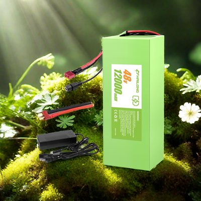 #ad 48V 12AH Li ion Battery for ebike Bicycle Hub48V Lithium Battery amp; Charger $179.00