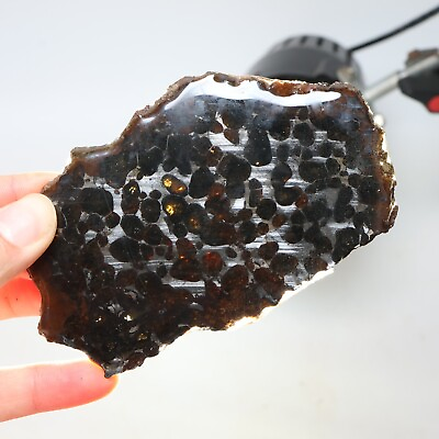 #ad 57g Beautiful SERICHO pallasite Meteorite slice from Kenya C7437 $114.00