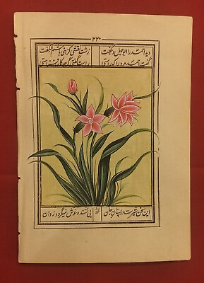#ad Handmade Flower Natural Indian Floral Fine Miniature Painting Art Work on Paper $67.99
