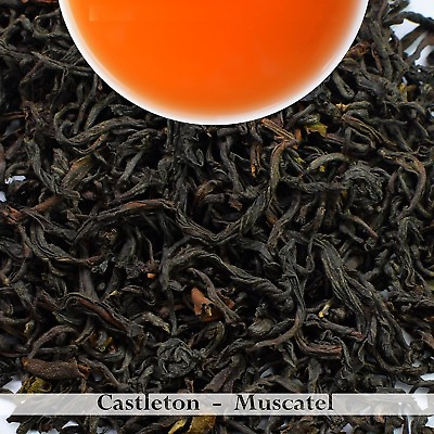 #ad Darjeeling Tea Second Flush FTGFOP 1 Castleton Estate 2023 Black Loose Leaf Tea $24.99