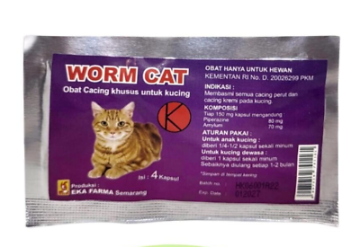 #ad WORM CAT Dewormer Allworms Round and Tap Worm Free for CAT PET 4 Tablet $17.65