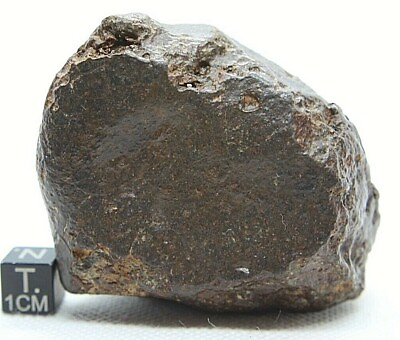 #ad meteorite incredible show piece meteorite 209 gram gorgeous meteorite SPACE $195.00