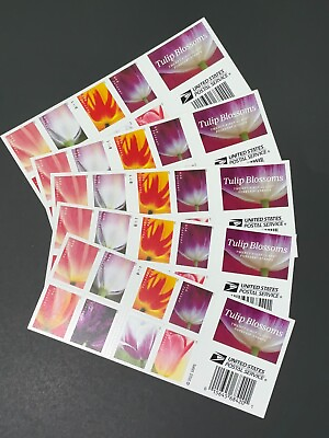 #ad SEALED 2023 Tulip Blossoms US Postage Forever 100 Count Stamps 5 Sheets of 20 $48.99