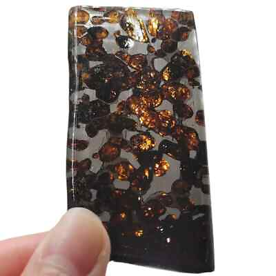 #ad 28.8g SERICHO pallasite Meteorite slice from Kenya TA438 $69.00