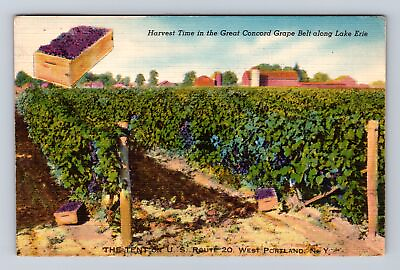 #ad West Portland NY New York Concord Grape Harvest Vintage c1952 Postcard $7.99