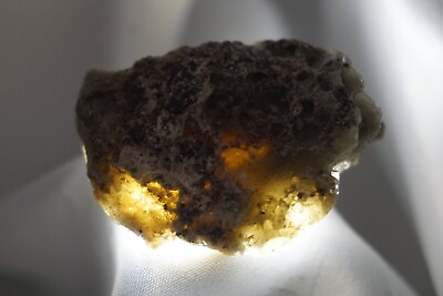 #ad Darwin Glass 13g Austalite Darwinite tektite impactite #big36. $25.74