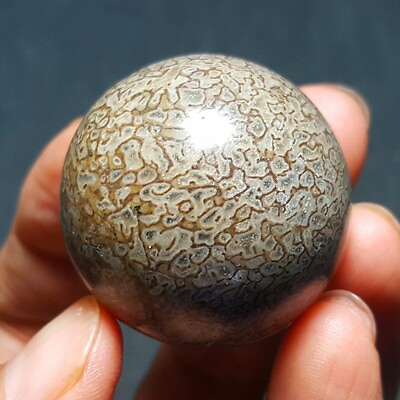 #ad 63G Natural Dinosaur bone agate Sphere Ball Madagascar 27X93 $35.91
