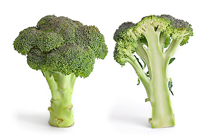 #ad 1000 Green Sprouting Calabrese Broccoli Non GMO Heirloom Broccoli Seeds $2.99