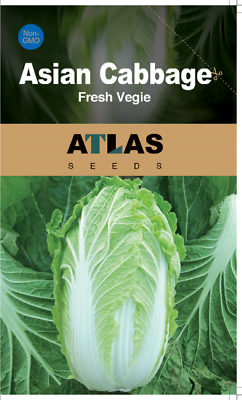 #ad Asian Cabbage Fresh Vegie $2.99
