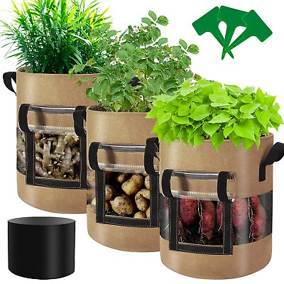#ad Visible Strawberry Sweet Potato Grow Bags 7 Gallon with Flap Window 3 Pack H... $37.23