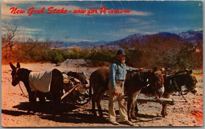 #ad c1950s Mining Comic Postcard quot;New Grub Stake Now for Uraniumquot; Prospector $3.75