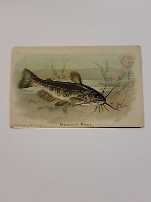 #ad Vintage Antique Arm amp; Hammer Horned Pout Fish Card #3 1900 Church amp;Co. New York $9.95