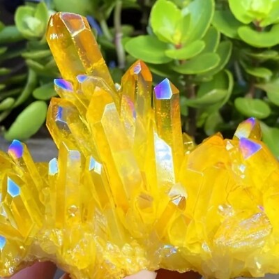 #ad #ad Aura Yellow Citrine Quartz Crystal Titanium Cluster Healing Specimen Home Decor $13.78
