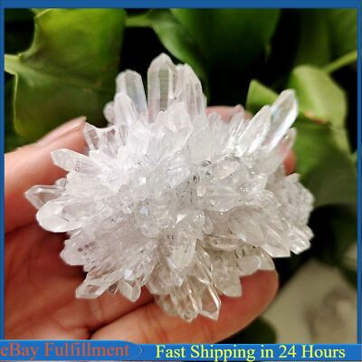 #ad Natural Clear Quartz Cluster Crystal Point Gemstone Druzy Geode Specimens Reiki $9.21