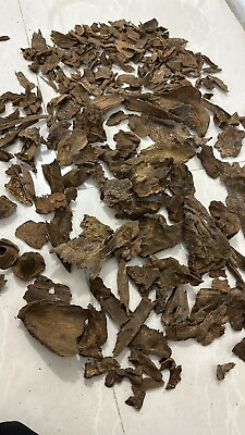 #ad RARE 1000 GRAMS WILD OUD DOUBLE SUPER PHILIPPINES NATURAL BAKHOOR FREE SHIPPING $6899.00